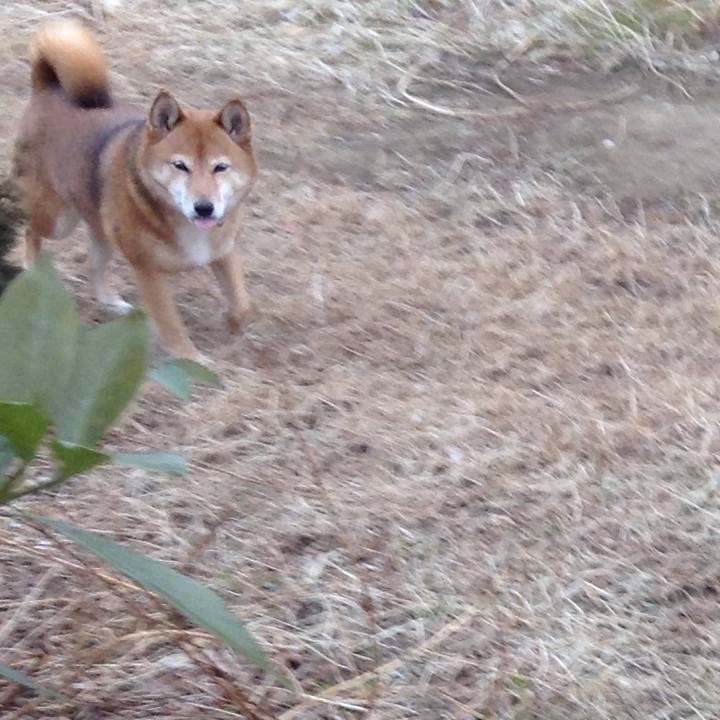 4c88603b c5c7 4736 adfd 585df5200404 1516151188703