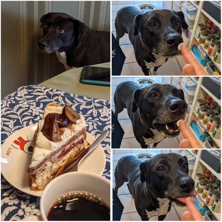 4c887a69 b7c0 4562 a86f 77e74acef026 1634209104149