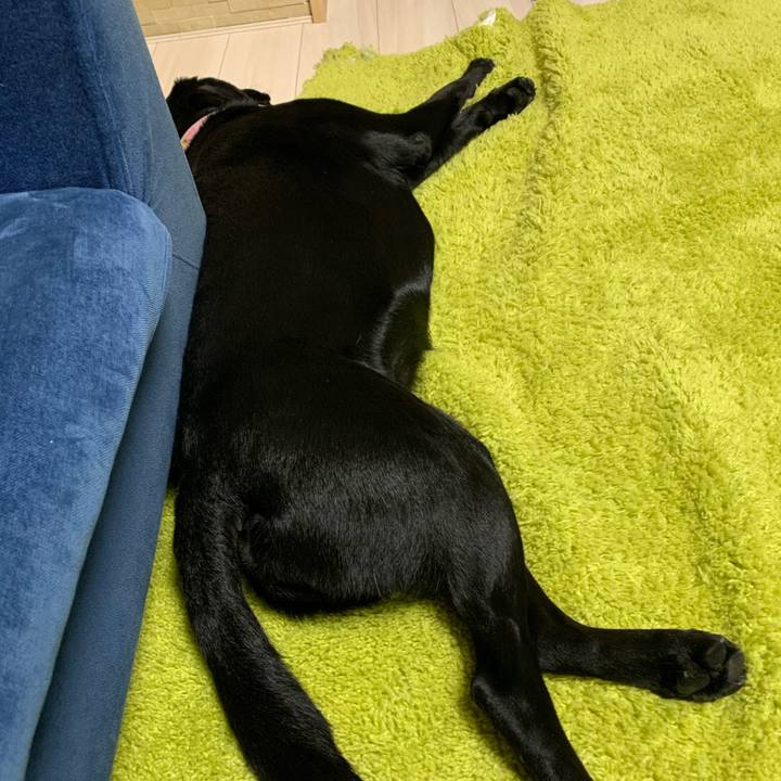 4c8894b8 673d 4405 99b9 6bcb438699bd 1588586683774