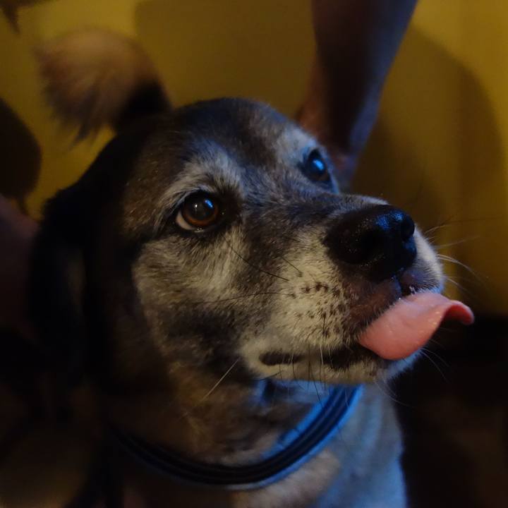 4c88f495 7cb3 4b55 9e0d af999ec1091b 1564657263025