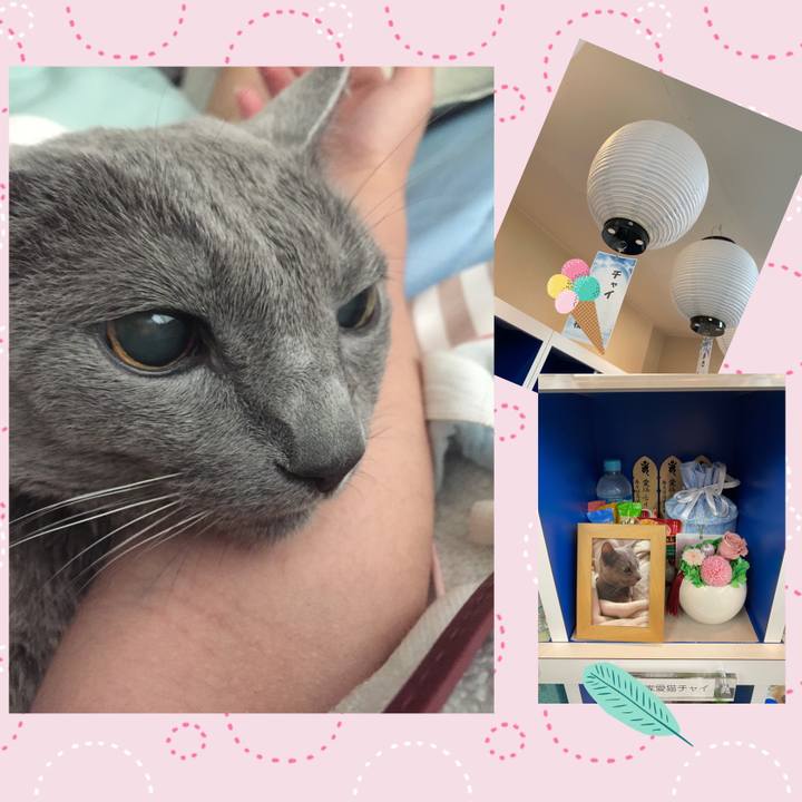 4c895173 8ad6 46be 9983 f6a02bd7f7d4 1659916571124