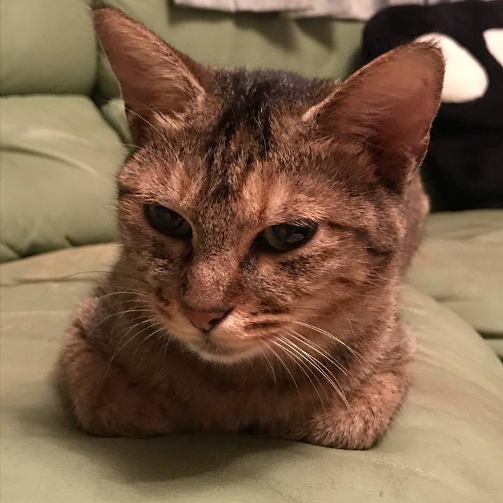 4c89b6fc d1c2 484b b742 2713dade1230 1573564197672