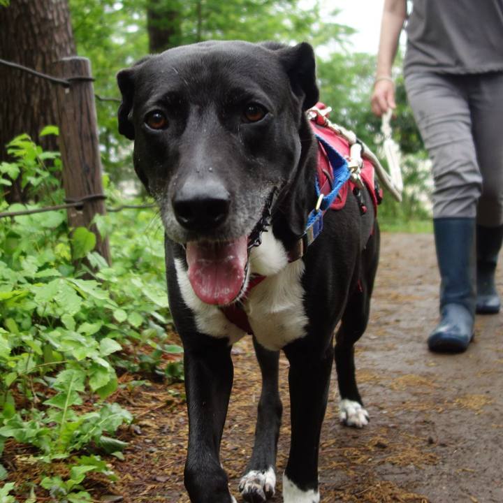 4c8a5a7a 6aeb 45a9 8b4c 334387ab657e 1651019368896