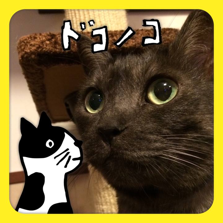 4c8ab958 44e3 42f5 ad03 6672826d2b19 1622887508569