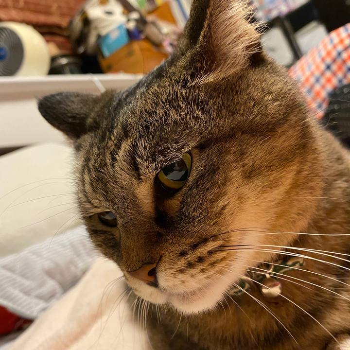 4c8ae73b c1c1 4f68 aa2b 433226eb3ae5 1593968948271