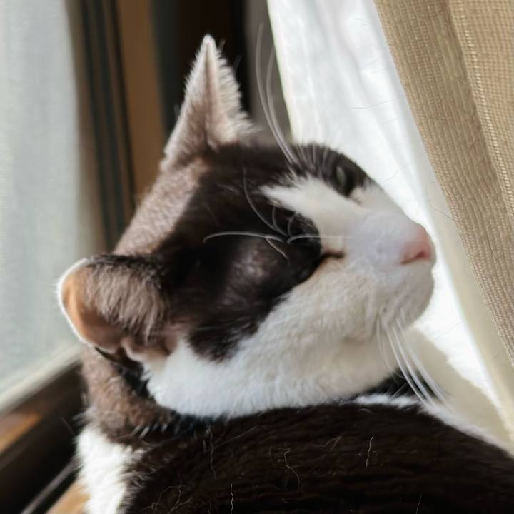 4c8b0d87 68f1 4957 80a0 c28f726b1618 1684548289910