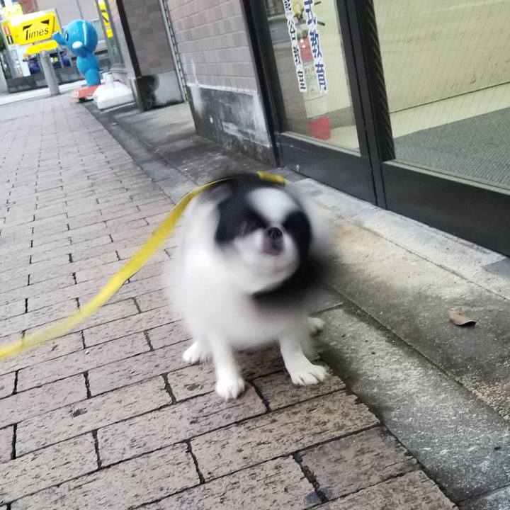 4c8b76a8 63a1 4f20 a8cd a529c82ec487 1650111583866