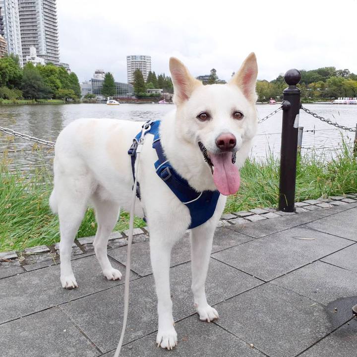 4c8b771e 326b 4acc a36d 723c35f6d8f0 1695545083765