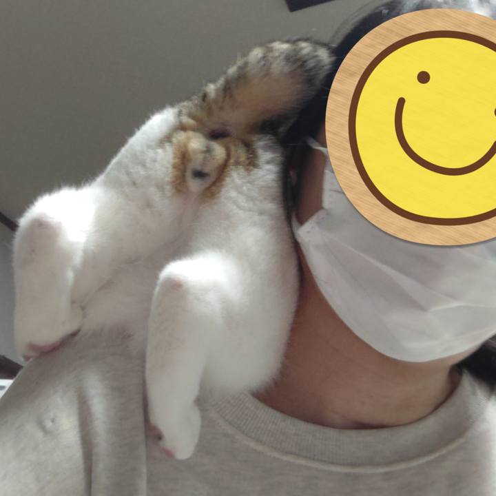 4c8b8b97 b5d6 4d69 a4ce 138a513ef082 1735390890459