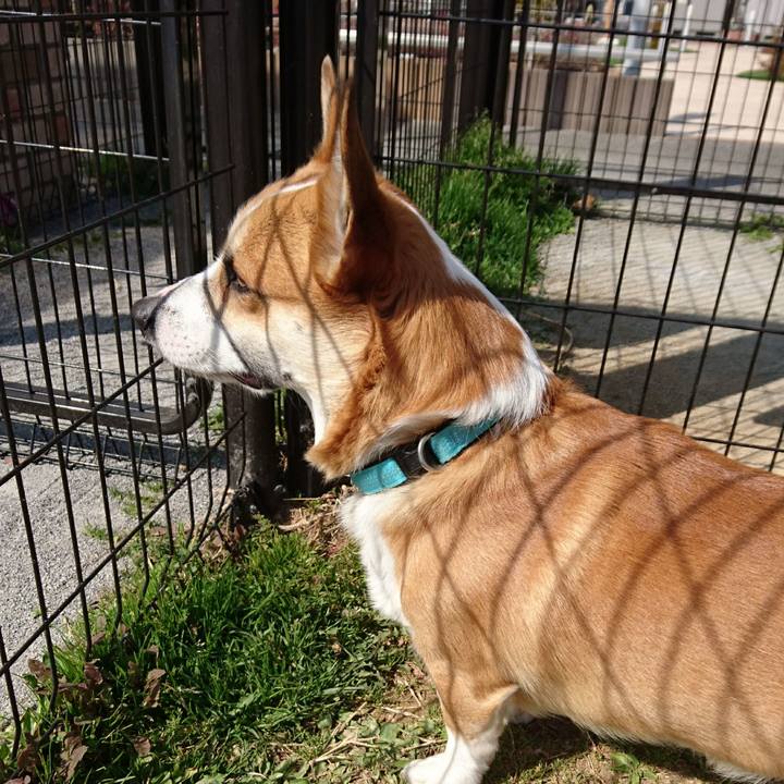 4c8bb405 4b27 4827 9017 c21ce14b8448 1614052306817