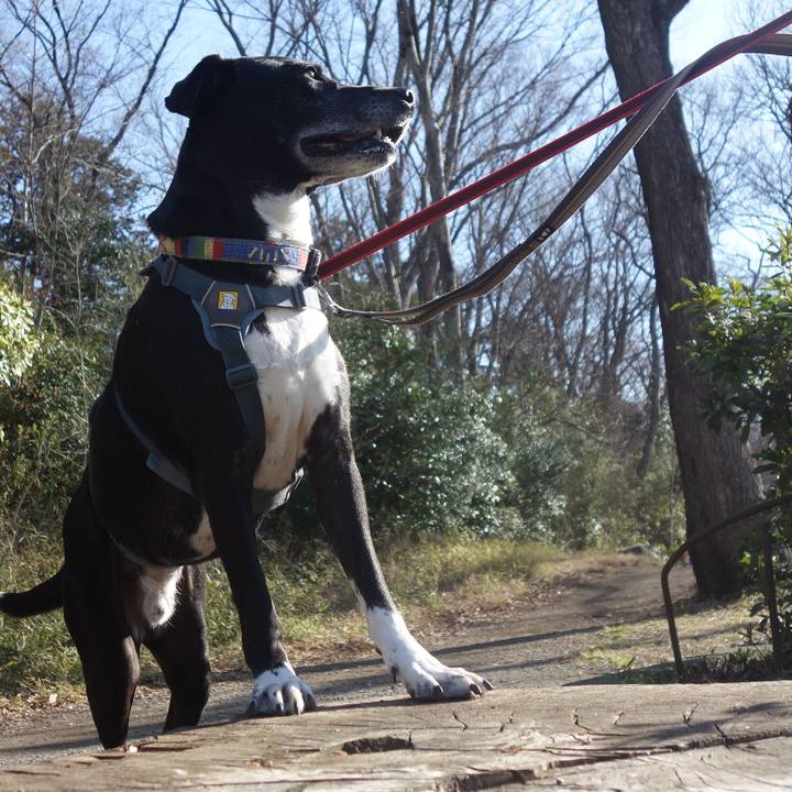 4c8bd3a4 430d 4a6a 99ff 2ebe443d3d51 1710380956070