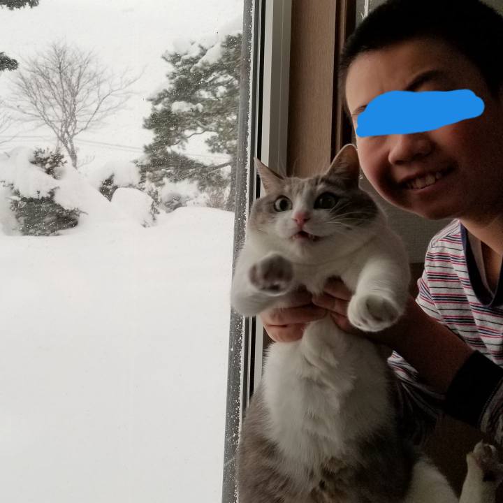 4c8bfead f848 4927 aebc 7aa9539976e0 1548286415263