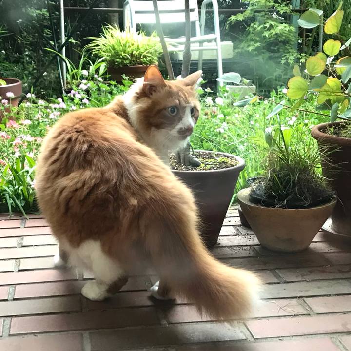 4c8c2e3a f66e 4092 a449 505f84c87245 1621124979635