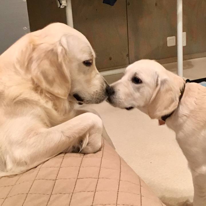 4c8c40a1 59ac 4b4f bff4 6953574e8265 1532595477738