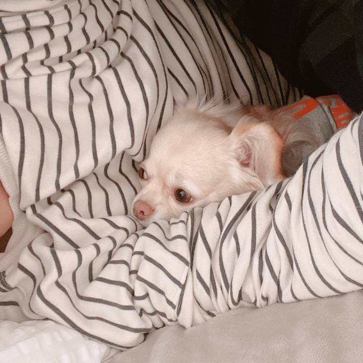 4c8c53a9 c461 42ae 9446 87c1bcd4c98d 1670990568776