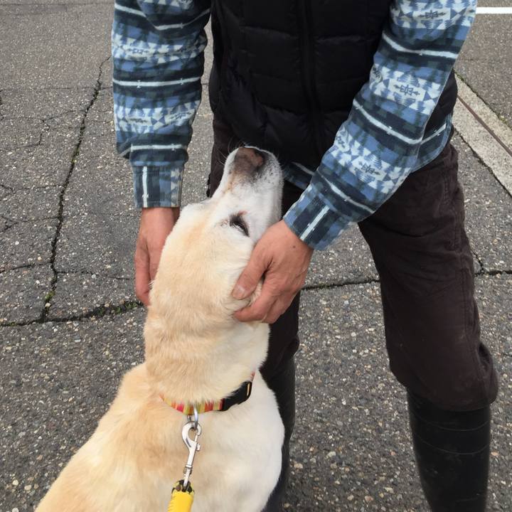 4c8c8d38 5c67 44ec 8145 a64d3481d049 1525853099531