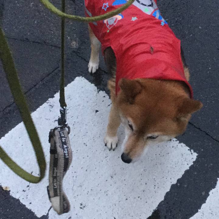 4c8cc6af ed7c 41db bdf9 2183aad9afd6 1580203790351