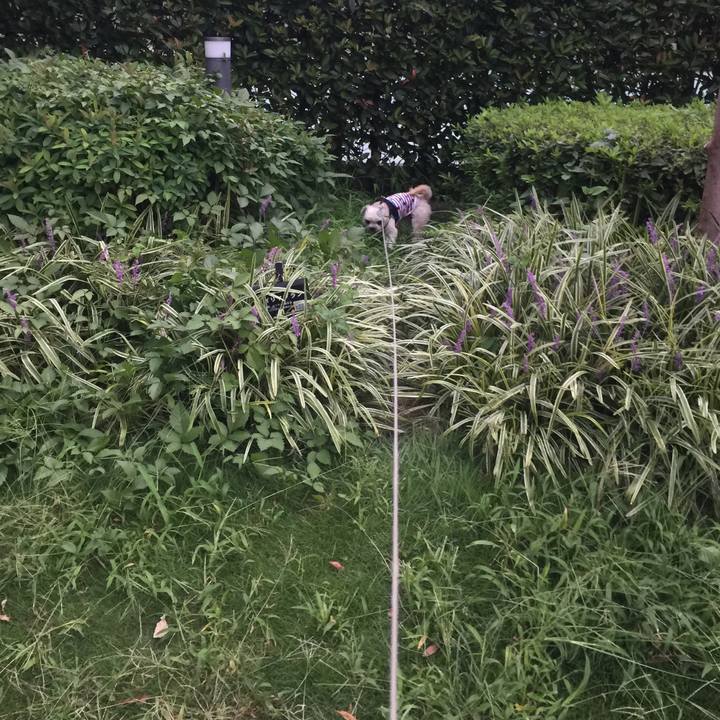 4c8cec0d 6b91 42b1 a811 6415877082f0 1536757713171