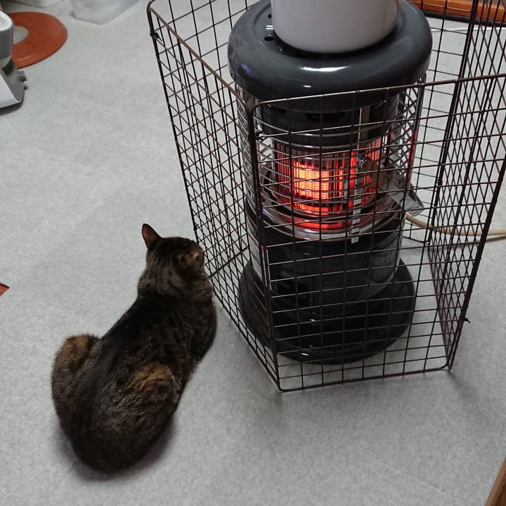 4c8d200a ff3e 4124 ac3c 9152524ea2f7 1515423038691