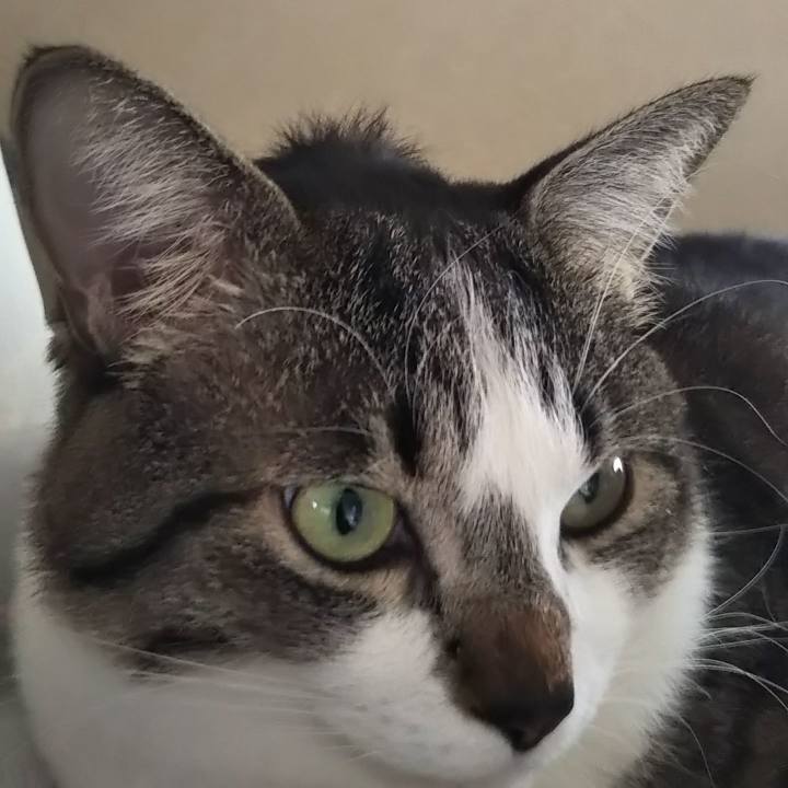 4c8d2bc3 e5df 4632 a0d7 1f23207e0468 1634887568397