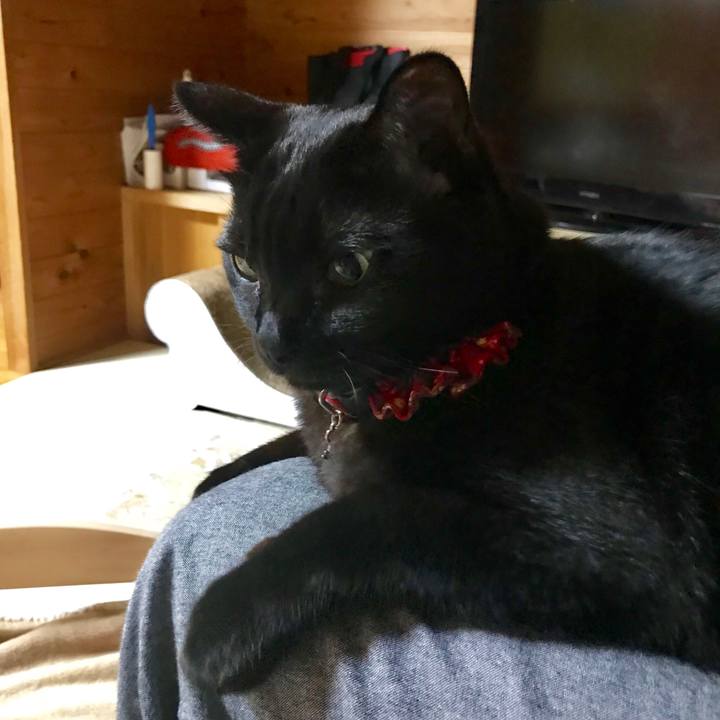 4c8d824e c331 4670 839e 13a1bc0b1a0e 1543843571145