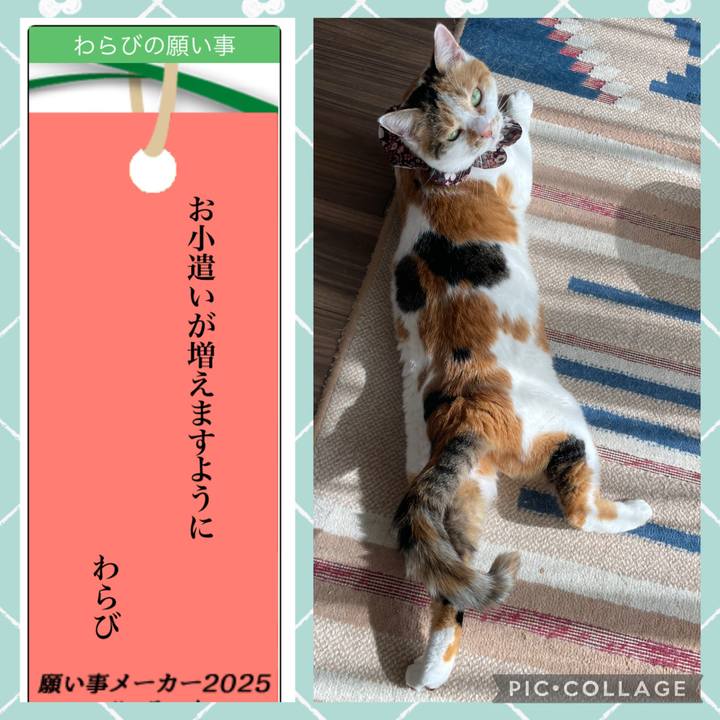 4c8d9a18 f71c 4c5c 8ebd bc0106f0643d 1751896585720