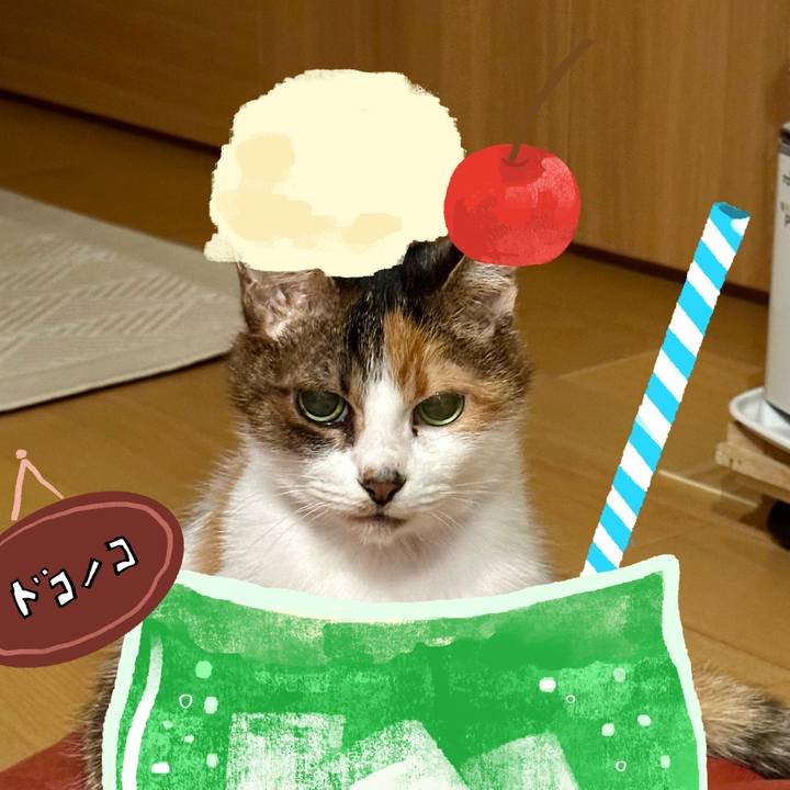 4c8ddcdf abbd 4159 9781 acca23624fc4 1755429633302