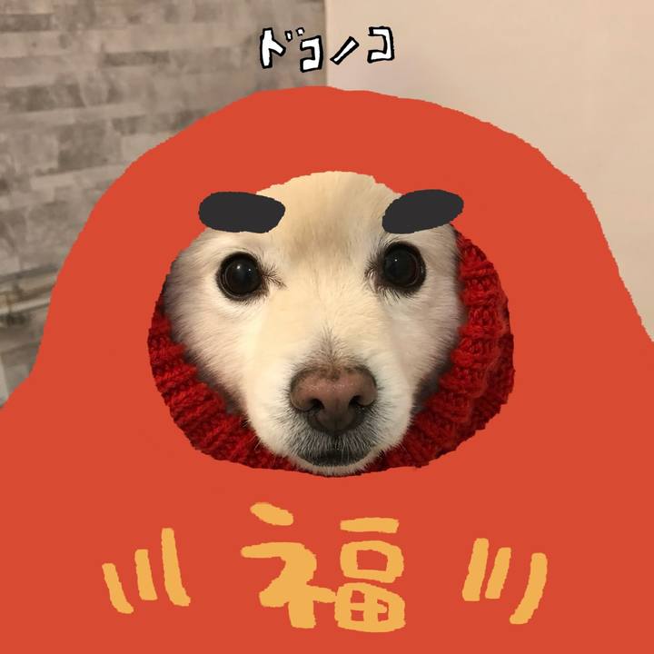 4c8e0d51 69e0 4066 8eb6 6cc5ddf44611 1771849933266