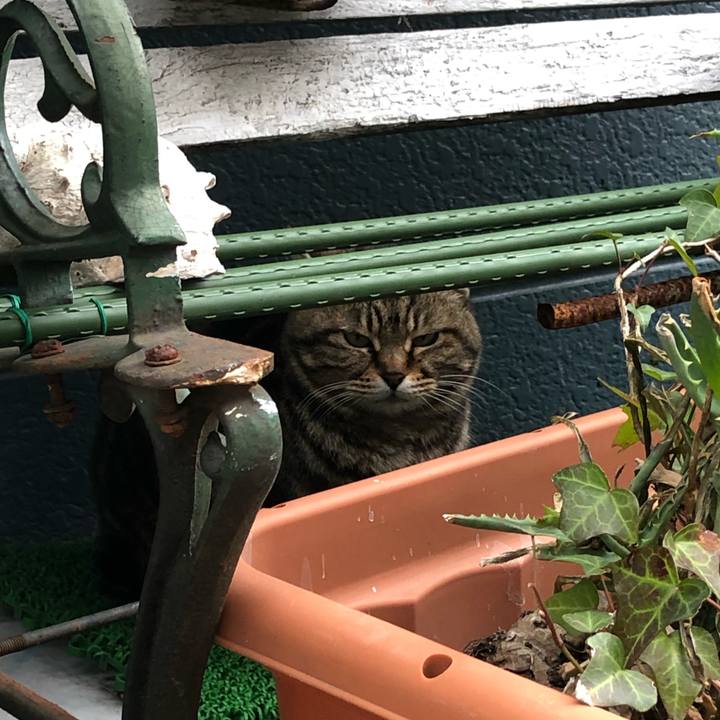 4c8e20c8 96c9 4c33 bfa4 09faaa1af0e9 1646731870030