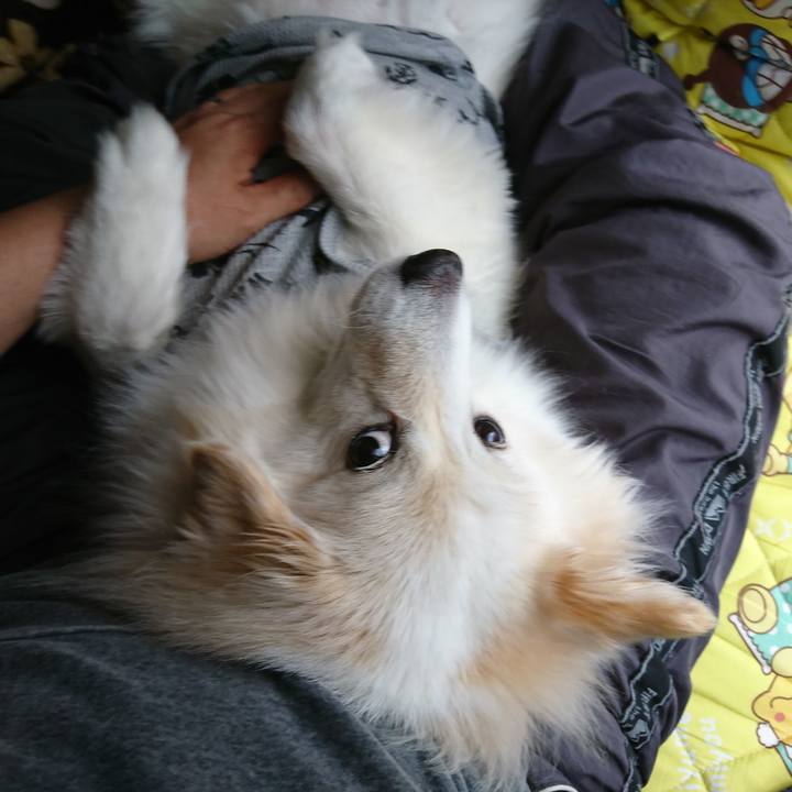 4c8e5ff7 120c 459c 8952 a3f39d917ed6 1525839498972