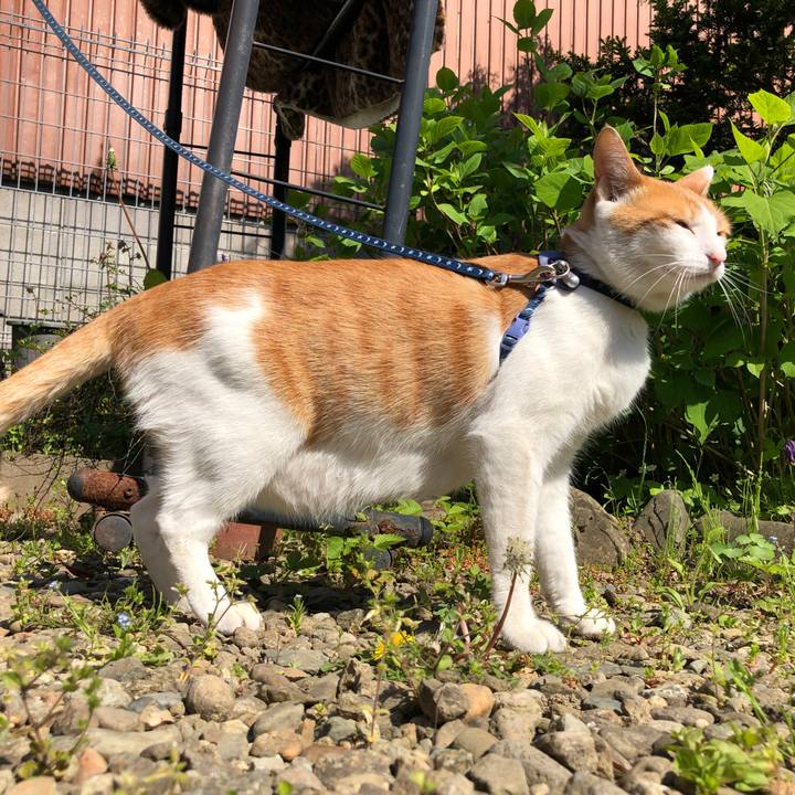 4c8e8836 e484 4523 82f8 f8e9d9fbc2d4 1558157411113