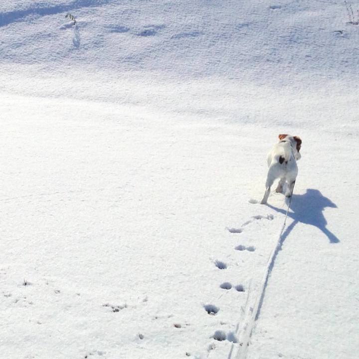 4c8ea390 98ec 4937 b02c 2819c95ba1bc 1580293272384