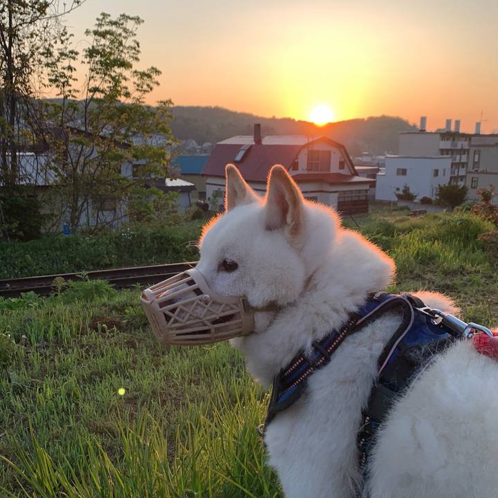 4c8ec820 4e0f 49f0 9e73 17b12a2eb1ff 1653080509352