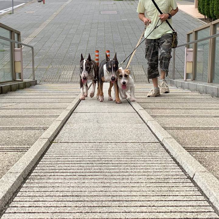 4c8f557c 93f0 464d a02e 59c5cdfe7255 1595586983445