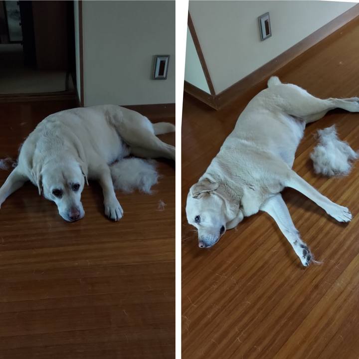 4c8f5845 064d 41fd a10b 895227014d40 1716868775782