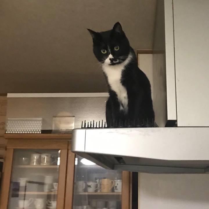 4c8f658b 456a 49de a1d4 946b21e49bba 1552016927391