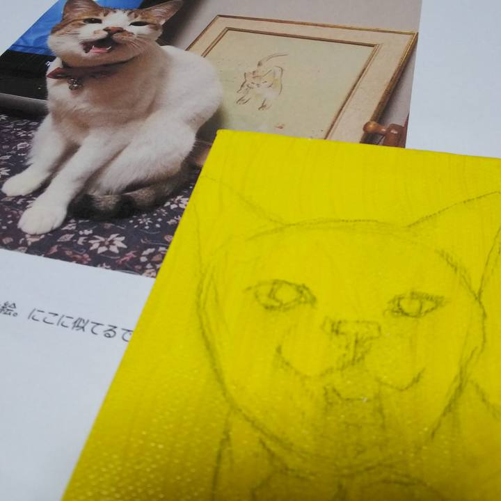 4c8f6de5 b053 43f6 ab67 8139856f5c32 1549870865189