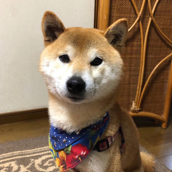 4c8f7551 a014 4b32 8e1a 6c448ba6a3ae 1521707108426