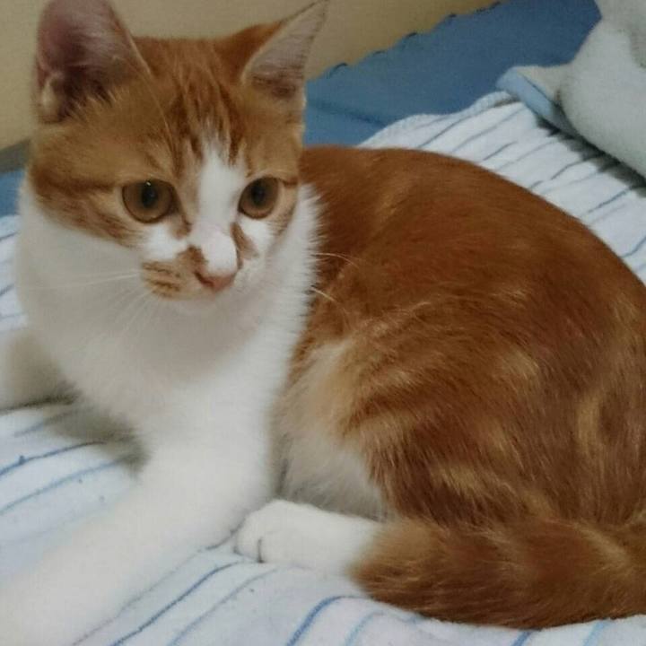 4c8f796e 2cb8 4ffd b264 31f8ed9cd69f 1588323064843