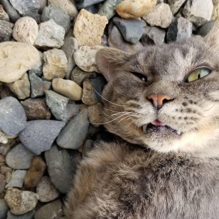 4c8f95bf 7fc3 4e66 9de4 443d57446fc1 1538278750143