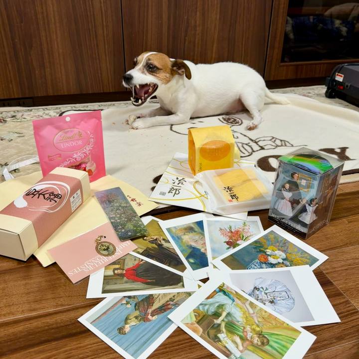 4c8fa66c 0959 4711 8e65 1604b7df7936 1770893164124