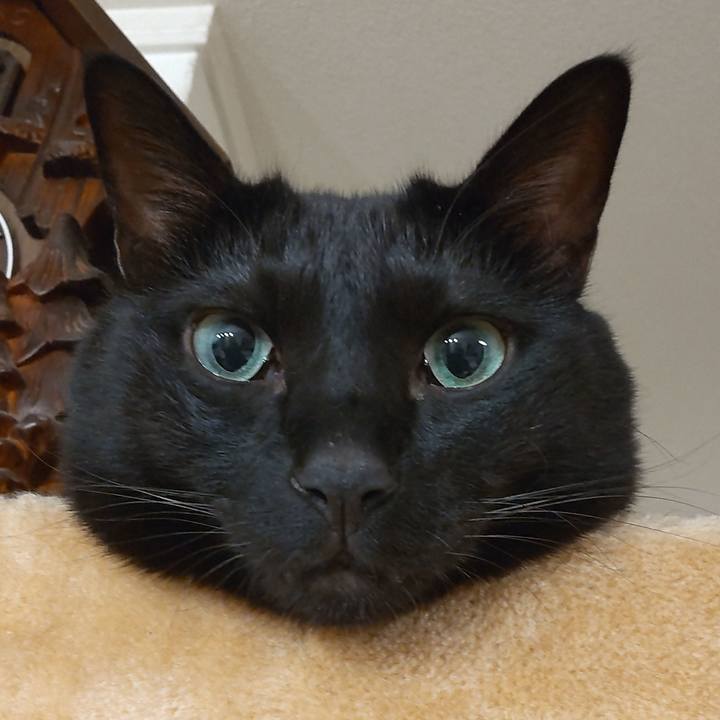 4c8faf28 55bf 4ebd 9f4e 5340eddb3ac0 1667036911102