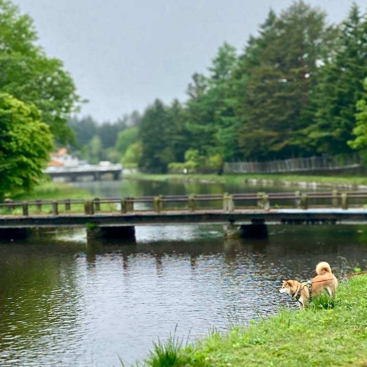 4c902070 20a0 482f b19b 7f0cb0d8a180 1655591463227