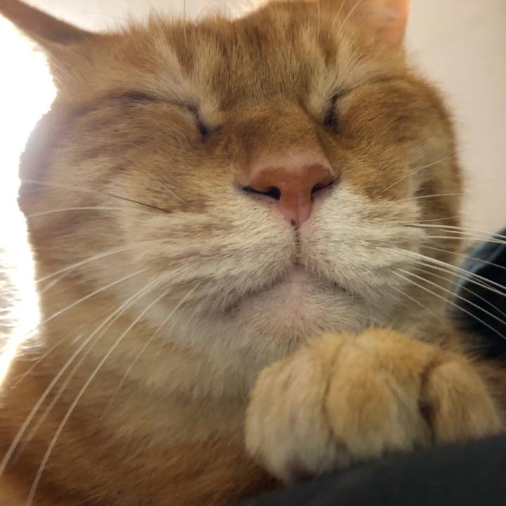 4c902fa1 60e3 4a9d 8482 2aec7788850a 1708132538019