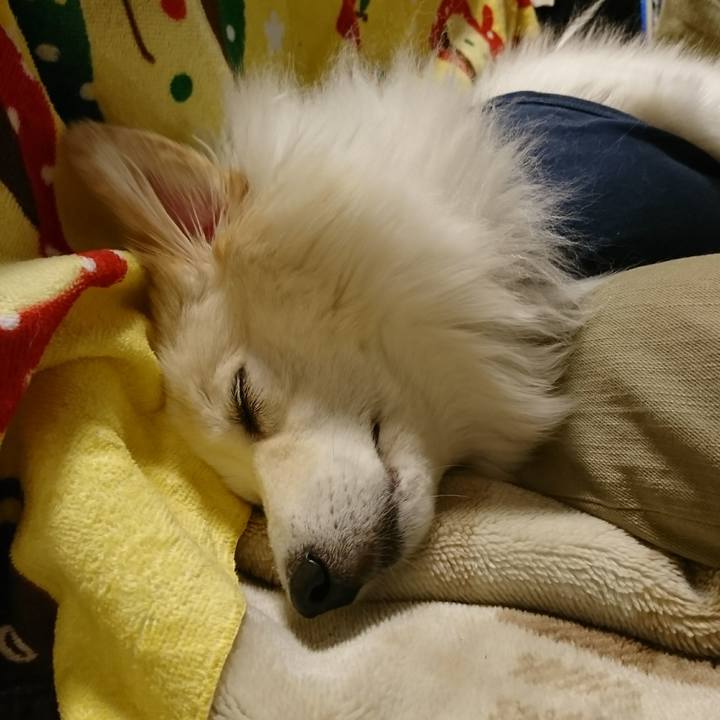 4c903608 5140 4281 abb4 45a93847c02f 1508052359196