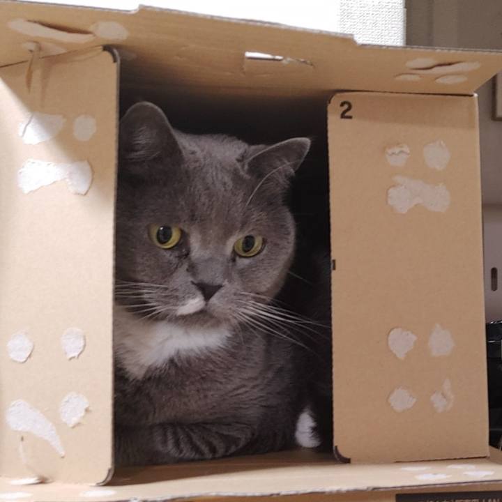 4c904c0b 1989 470f a845 2605cdaed921 1713620662477