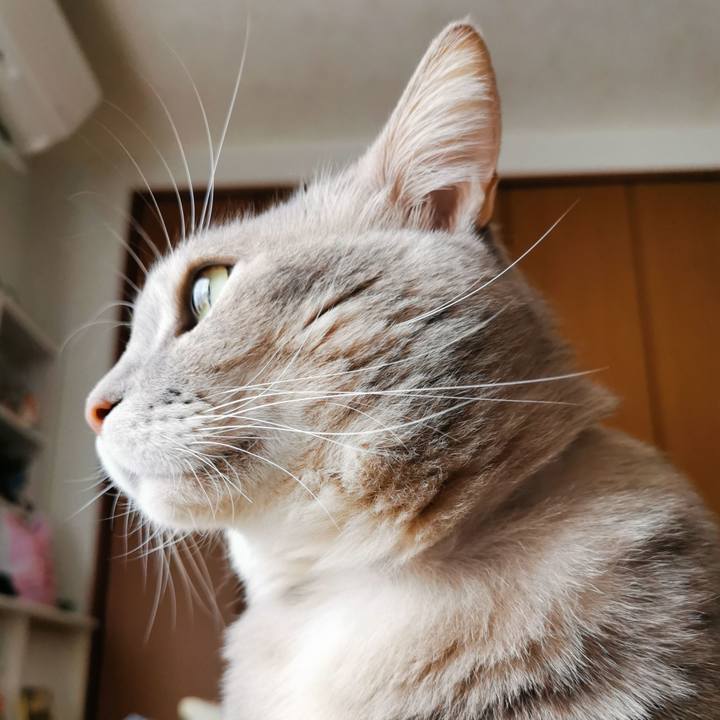 4c906cd0 f2f4 46a5 9049 9b4762c8074a 1671684251623