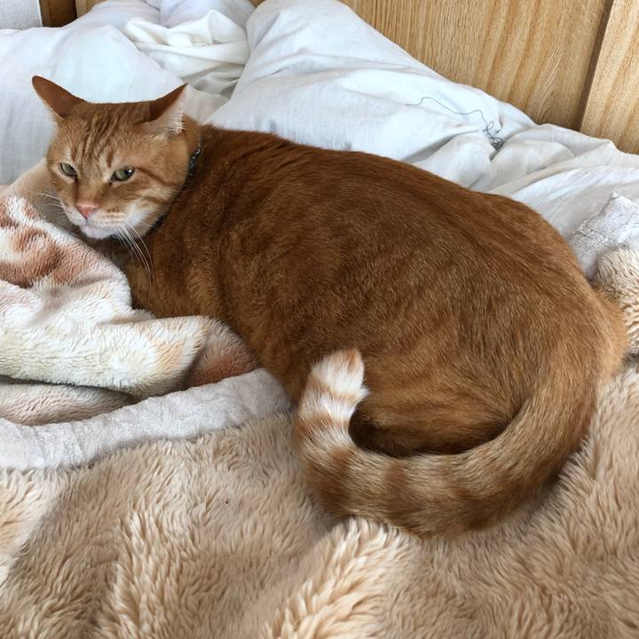 4c90755d e0a5 4cdd a13c 275b1210f678 1585092073283