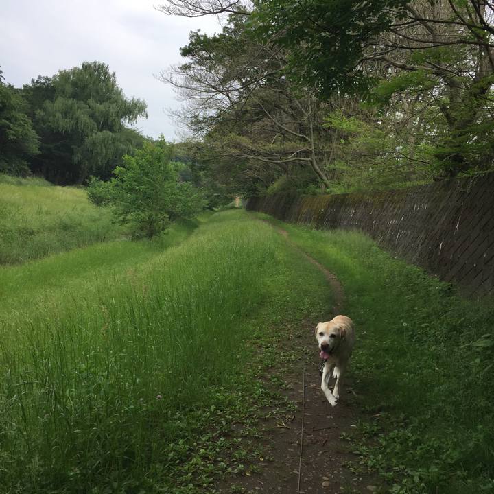 4c907c6f cb5b 4ae5 8ec7 7a1f870ece05 1526547531584