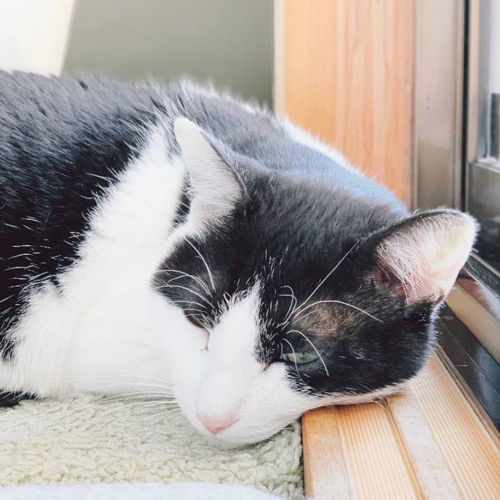 4c908739 a9da 41c2 884e c74ffb7f9a86 1556243756176